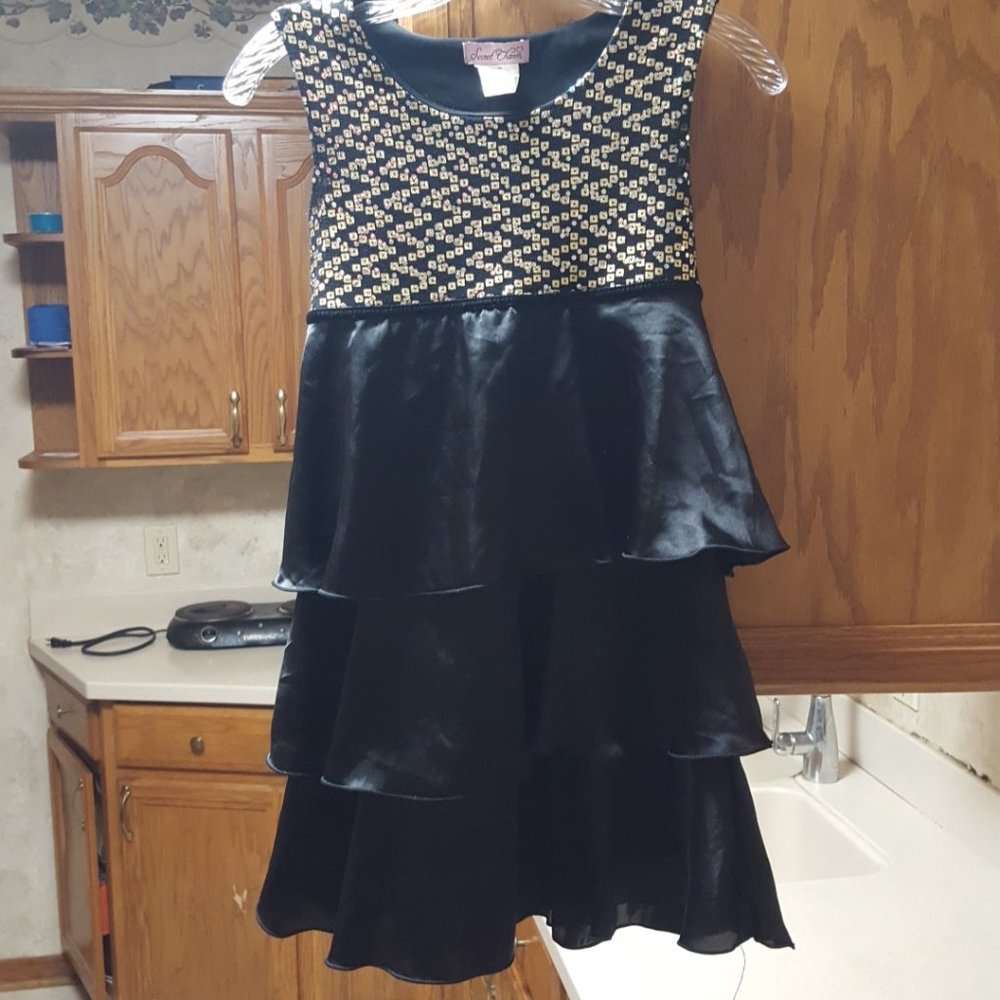 SECRET CHARM DRESS  Size 12